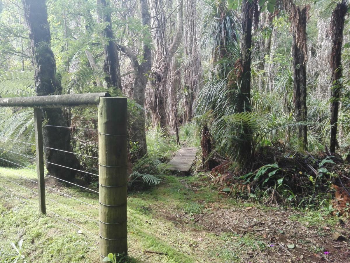 Appartamento Taranaki Experience New Plymouth Esterno foto