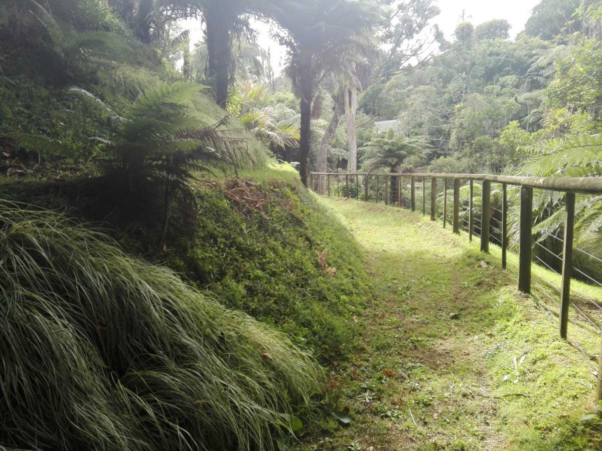 Appartamento Taranaki Experience New Plymouth Esterno foto