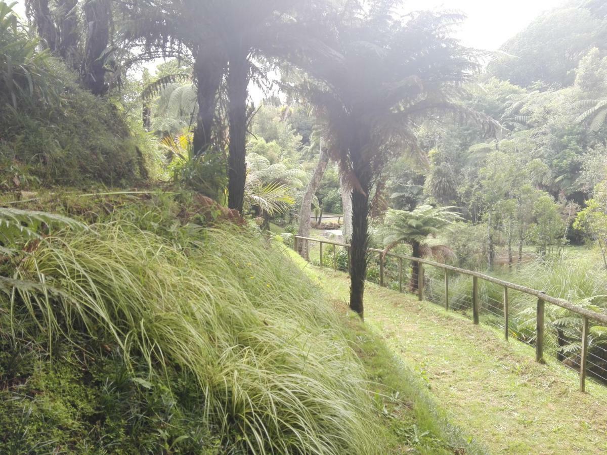 Appartamento Taranaki Experience New Plymouth Esterno foto